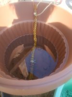 Tvořte a vkládejte__ (4. 4. 2021 15_17_51).jpeg